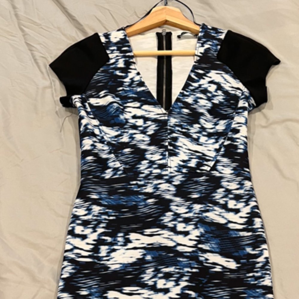 Zara Dress
